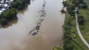 LO ÚLTIMO: Trump planea instalar carpas para migrantes