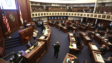 americateve | Florida Senado.png