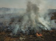 densa nube por incendio en humedal castiga ciudad argentina
