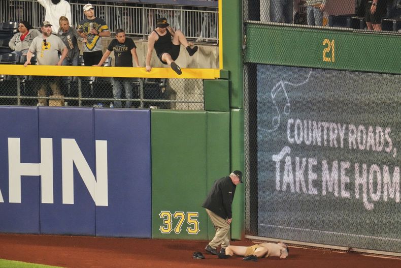 Un fanático yace en la fanja de advertencia del PNC Park, tras caer desde las gradas en el encuentro entre los Piratas de Pittsburgh y los Cachorros de Chicago, el miércoles 30 de abril de 2025 (AP Foto/Gene J. Puskar)