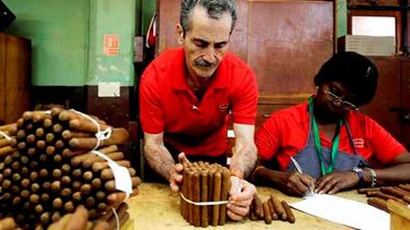 Parte del proceso de producción de los habanos cubanos.