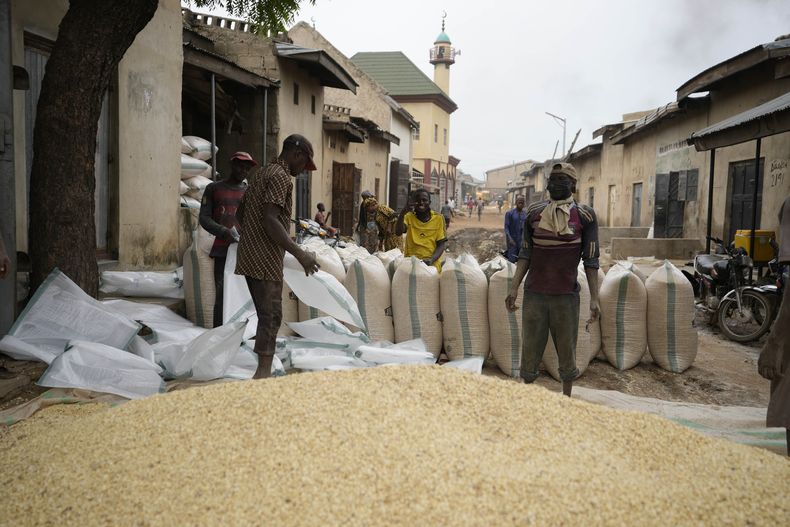 Trabajadores empacan granos en costales para venderlos en el Mercado Internacional Dawanau el viernes 14 de julio de 2023, en Kano, Nigeria. (AP Foto/Sunday Alamba)