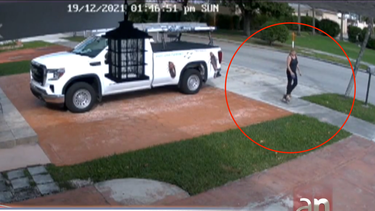 hialeah: un american bulldog escapa de su casa y ataca mortalmente a un yorkshire  frente a su duena