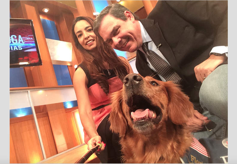 CAO GINA PERRO