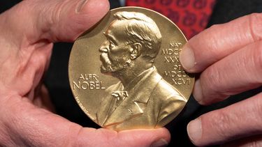 ARCHIVO - Un primer plano de una medalla del premio Nobel se ve en los Institutos Nacionales de Salud (NIH) en Bethesda, Maryland, el 8 de diciembre de 2020. (AP Foto/Jacquelyn Martin, Archivo)