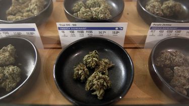Justicia de EEUU deroga política que facilita marihuana
