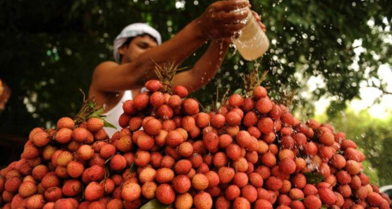 Screenshot (1487).png