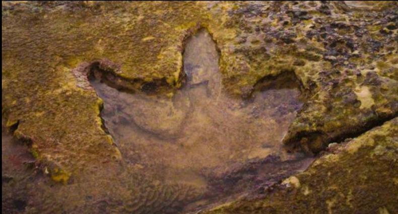 Screenshot (1825).png