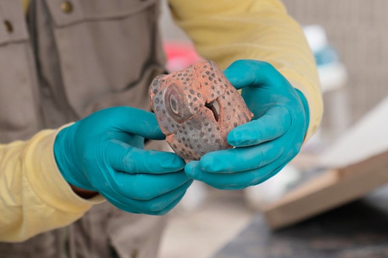 Un arqueólogo muestra una cabeza de serpiente de cerámica que desenterró durante la excavación de restos óseos en el sitio arqueológico de Huaca Pucllana, en Lima, Perú, el martes 18 de agosto de 2026. Los hallazgos pertenecen a la cultura Lima, según la líder de la excavación, Gladys Paz. (AP Foto/Martín Mejía)