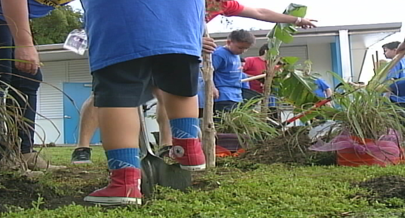 HUERTO SALUDABLE.png