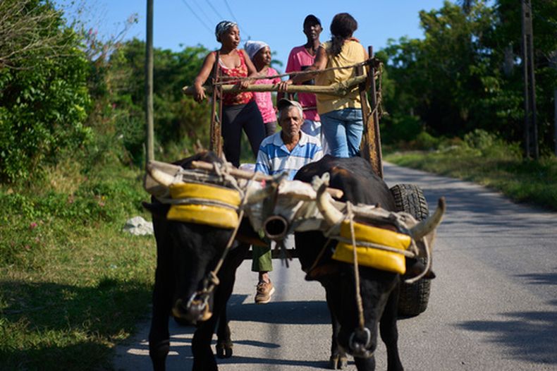 Agricultores se desplazan sobre una carreta en Minas, Cuba, el 27 de abril del 2026. (AP foto/Ramon Espinosa)