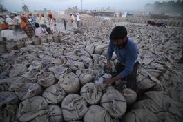 india veta la exportacion de trigo por seguridad alimentaria