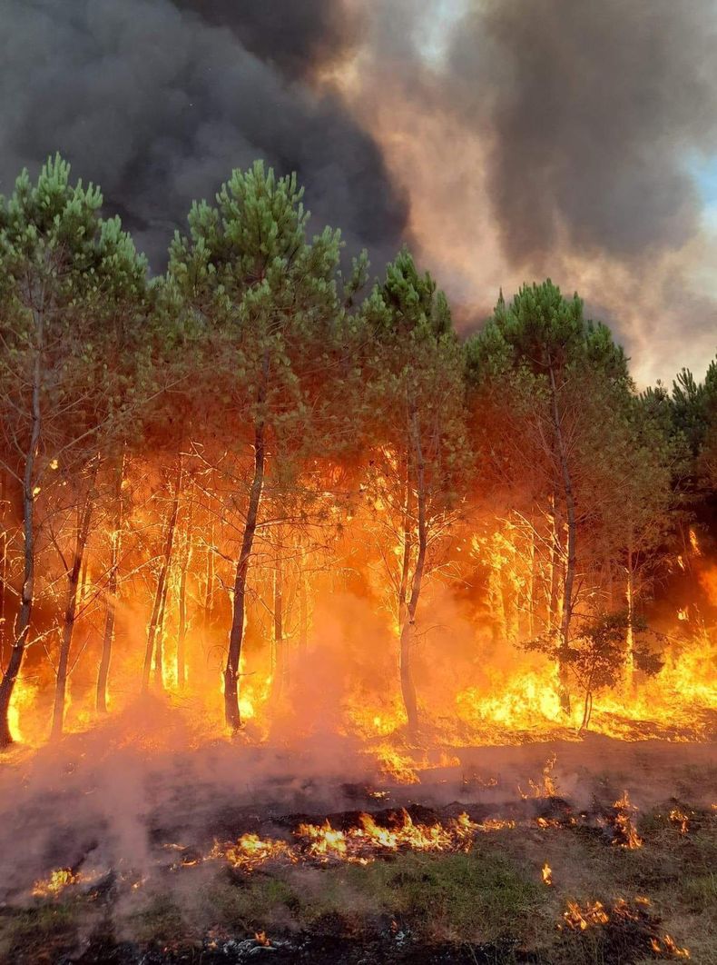 EUR-GEN FRANCIA-INCENDIOS