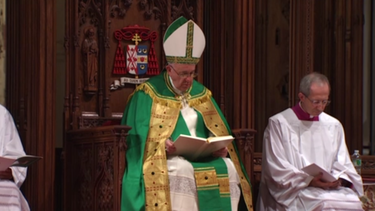 papa francisco: los sacerdotes pederastas son la vergüenza de la iglesia de eeuu