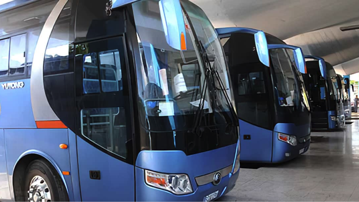 Interprovincial Se suspende el transporte interprovincial en el occidente de Cuba ante ...