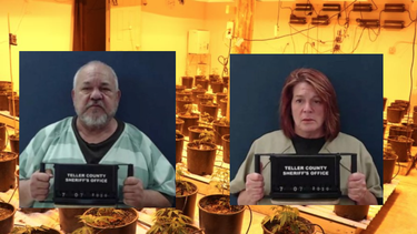 sospechan de mafia cubana en masivo mercado ilegal de marihuana en colorado