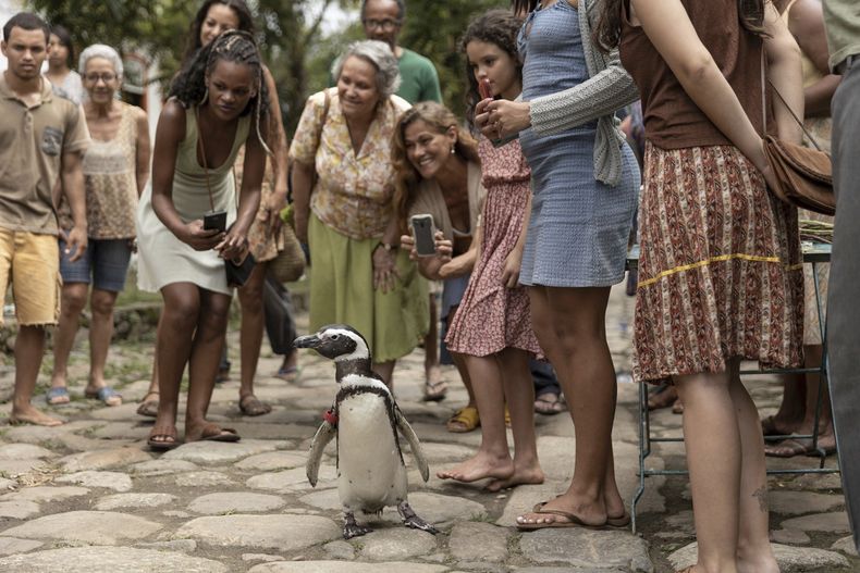 En esta imagen proporcionada por Lionsgate una escena de My Penguin Friend. (Lionsgate via AP)