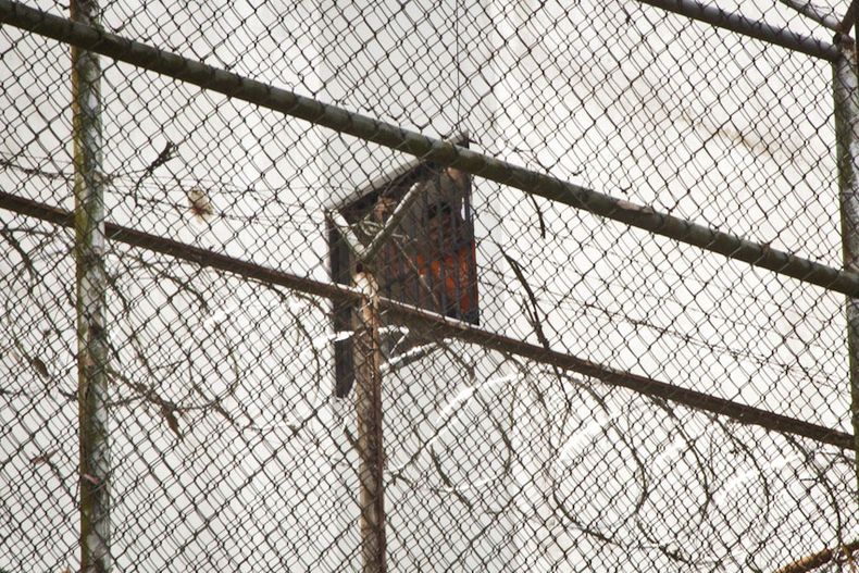 Este fin de semana se generó gran confusión luego que se le prohibiera a Lilian Tintori y sus hijos visitar a Leopoldo López y previo un anuncio del Coronel Homero Miranda, de que Leopoldo López sería trasladado a un penal de máxima seguridad. Tintori, in