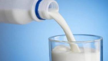 Buscan frenar aumento en la leche