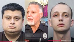 redada de la policia de miami termina con varios pedofilos arrestados que buscan ninas de 12 y 14 anos