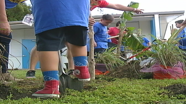 estudiantes del colegio royal palm elementary school siembran su propio huerto