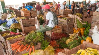americateve | Cuba asegura que su producción agrícola aumento pero los precios de productos como la cebolla son para echarse a llorar.
