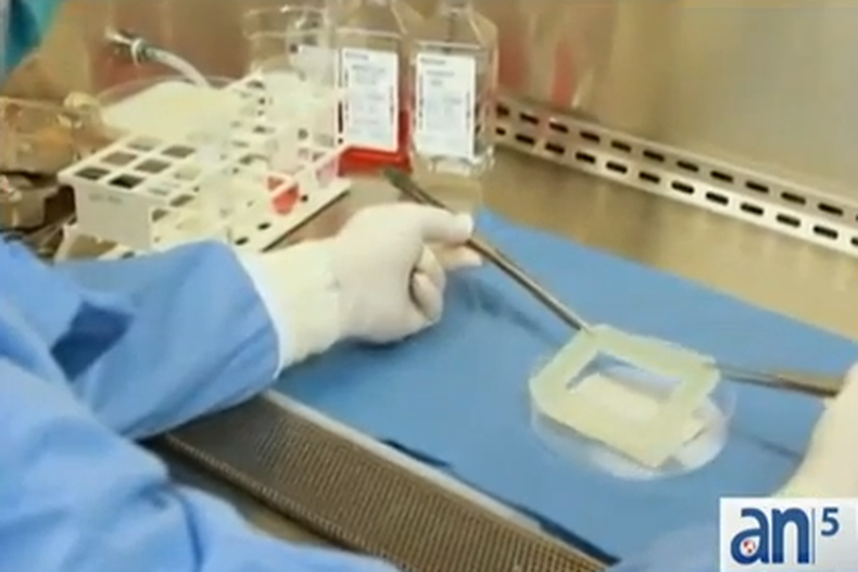 Los avances de la ciencia superan por momentos a la imaginación mas delirante. Oigan esto:  cirujanos han logrado reconstruir órganos completos,  para ser posteriormente trasplantados.