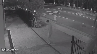 captado en camara: roban moto en miami beach