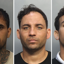 Tres cubanos detenidos por robo de mil libras de aguacate de una finca de Miami-Dade