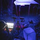 Esta foto de 2022, proporcionada por Samuel Timothy Fabian, muestra los experimentos sobre el efecto de las luces artificiales en los insectos voladores silvestres en el sitio de campo de Monteverde, Costa Rica. (Samuel Timothy Fabian vía AP)
