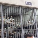 ARCHIVO - Reclusos observan desde su celda mientras la secretaria de Seguridad Nacional, Kristi Noem, visita el Centro de Confinamiento del Terrorismo en Tecoluca, El Salvador, el 26 de marzo de 2025. (AP Foto/Alex Brandon, Archivo)