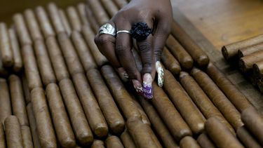 cuba asegura que puede cubrir la demanda de habanos en el mercado estadounidense