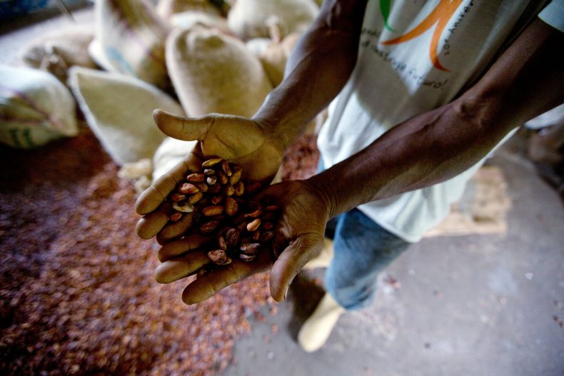 REP-GEN_VENEZUELA-CHOCOLATE-3.jpg