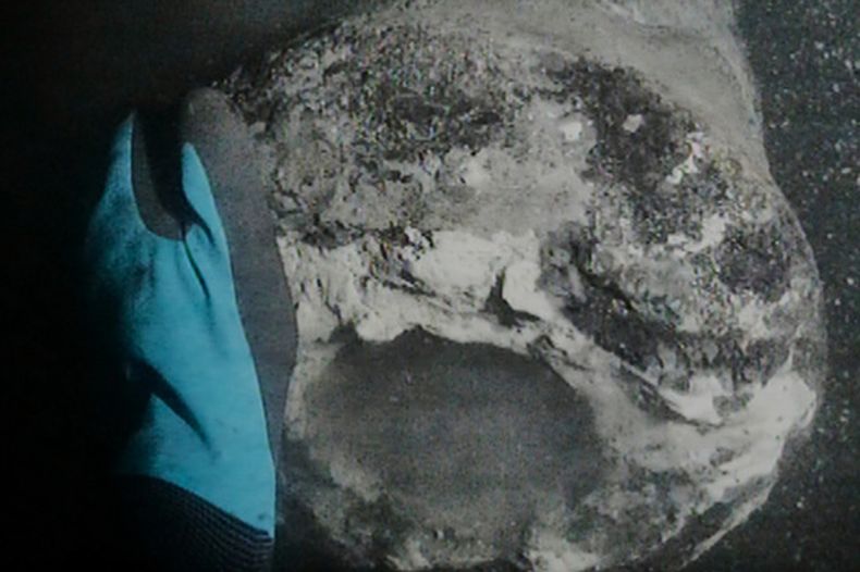 En esta imagen, distribuida el 15 de septiembre de 2015 por el Museo de Barcos Vikingos, se muestra la vista submarina de un buzo mientras descubre un cañón que se cree que pertenece al buque de la Armada danesa Dannebroge, hundido durante la Batalla de Copenhague en 1801. (Museo de Barcos Vikingos vía AP)