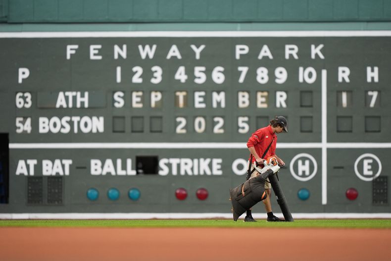 Un obrero prepara el terreno del estadio Fenway Park previo a un juego entre los Medias Rojas de Boston y los Atléticos, el miércoles 17 de septiembre de 2025, en Boston. (AP Foto/Robert F. Bukaty)
