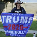 Cómo marcha la pelea legal de Donald Trump para revertir el resultado de las elecciones