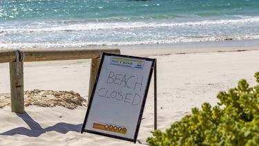 Australia suspende búsqueda de nadador atacado por tiburón