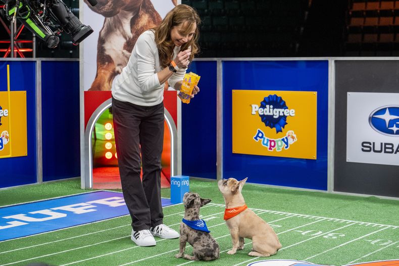 Esta imagen proporcionada por Animal Planet/Warner Bros. Discovery muestra a la entrenadora Victoria Schade interactuando con perros en el set de Puppy Bowl XXI, que se transmite el domingo. (Animal Planet/Warner Bros. Discovery via AP)
