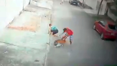 video: la batalla de un joven para salvar a un nino del ataque de un pitbull