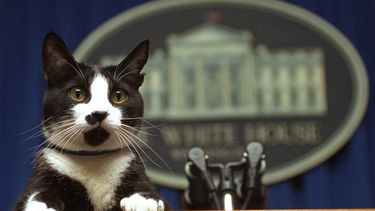Hay una vacante en la Casa Blanca: la mascota presidencial