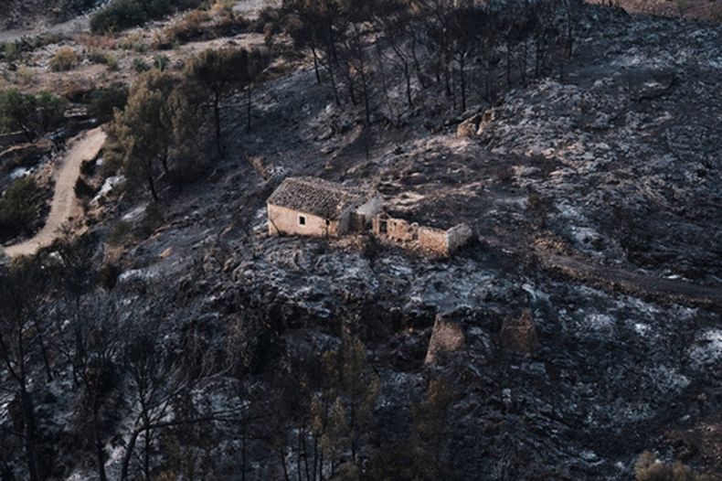 Vista de una zona arrasada por incendios forestales en Bédar, cerca de Almería, España, el sábado 11 de julio de 2026. (Foto AP/Gregorio Marrero)