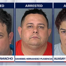 Desarticulan red criminal liderada por cubanos en Florida: fraude financiero, robo de combustible y posibles peleas de animales