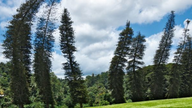 Screenshot (1930).png