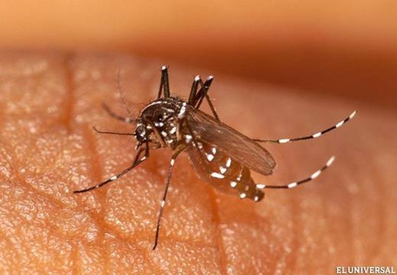 La pequeña es la primera  víctima mortal por esta enfermedad en Colombia