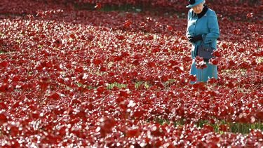 americateve | En esta foto del 16 de octubre del 2014, la reina brit&aacute;nica Isabel II camina por un cambio de amapolas de cer&aacute;mica en la Torre de Londres. La exhibici&oacute;n conmemora el D&iacute;a del Armisticio, el fin de la Primera Guerra Mundial. (AP
