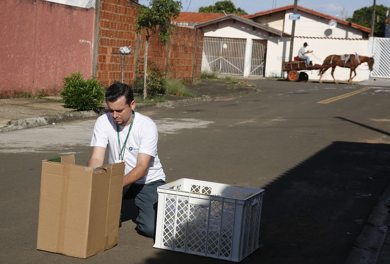 REP-GEN_ZIKA-MOSQUITO-ERRADICACION-6.jpg