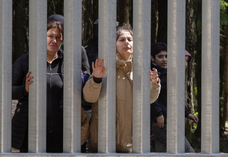 Migrantes en la cerca en la frontera entre Polonia y Bielorrusia, cerca de Bialowieza, Polonia, el 28 de mayo del 2023. (AP foto/Agnieszka Sadowska)