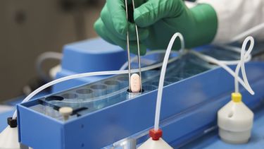 EEUU autoriza píldora de Pfizer contra el COVID-19