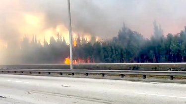 se reporta enorme incendio forestal en el suroeste de miami-dade obligando a cerrar la calle ocho
