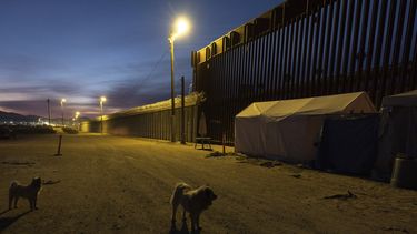 Un par de perros cerca del muro fronterizo que separa a México de Estados Unidos, el miércoles 22 de enero de 2025, en San Diego. (AP Foto/Gregory Bull)